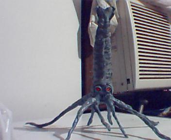 animodel Hypergezora