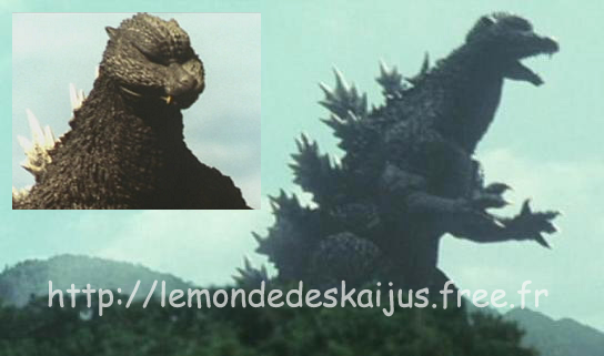 FinaruGoji