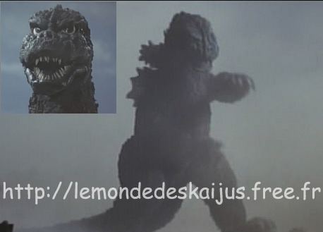 MegaroGoji