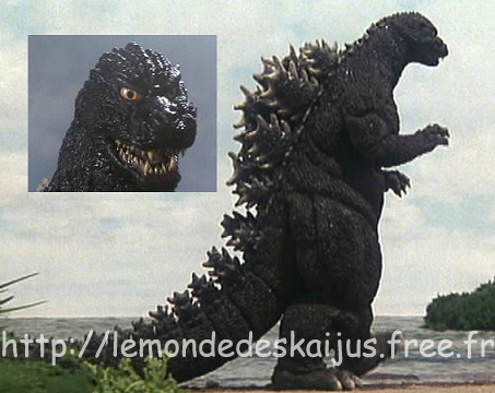 Mogegoji
