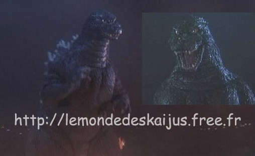 RadoGoji