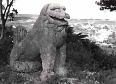 Shisa